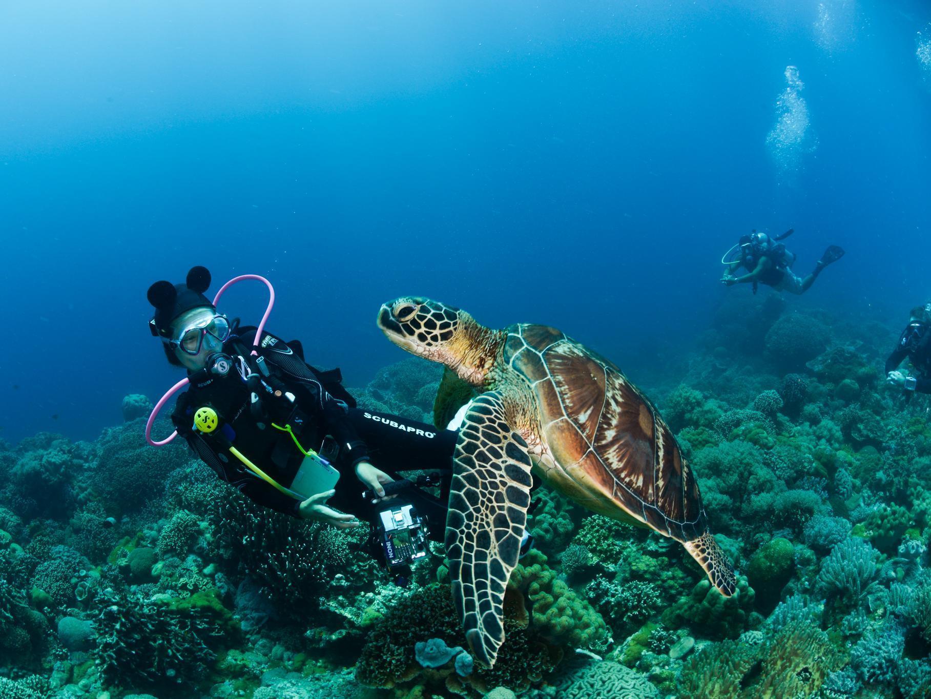 Acqua Dive Bed & Breakfast Zamboanguita  Exterior foto