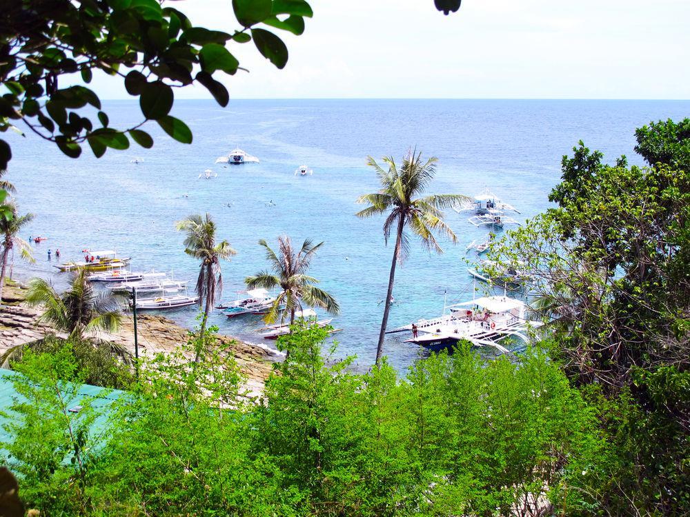 Acqua Dive Bed & Breakfast Zamboanguita  Exterior foto