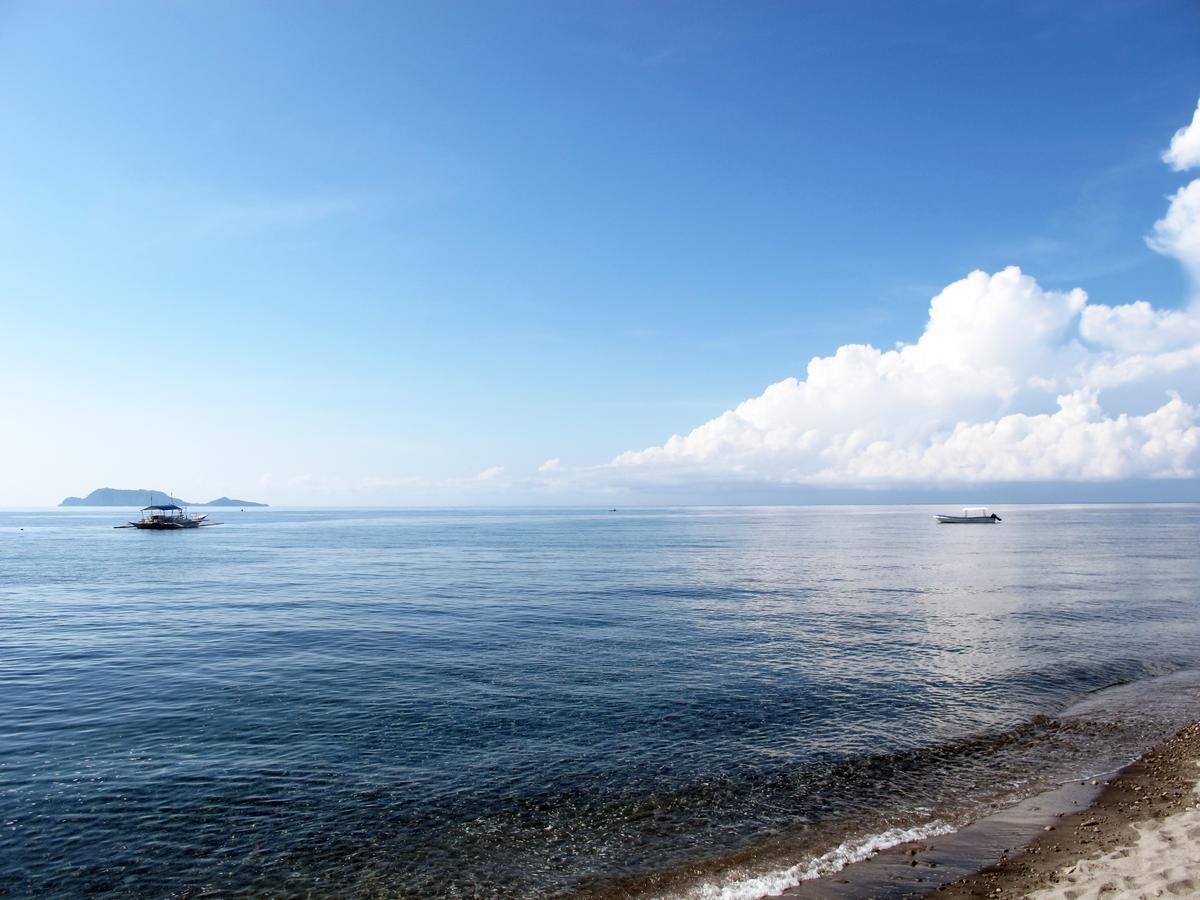 Acqua Dive Bed & Breakfast Zamboanguita  Exterior foto