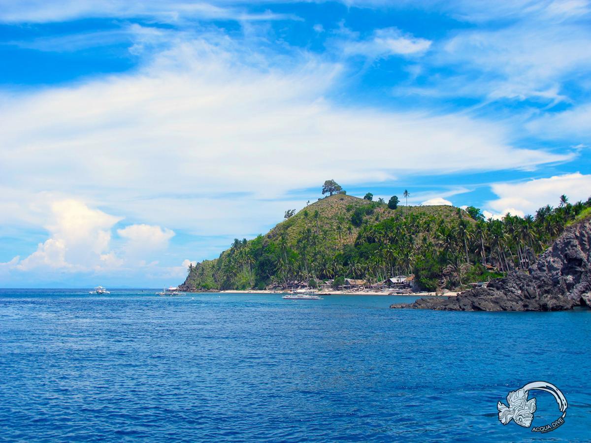 Acqua Dive Bed & Breakfast Zamboanguita  Exterior foto