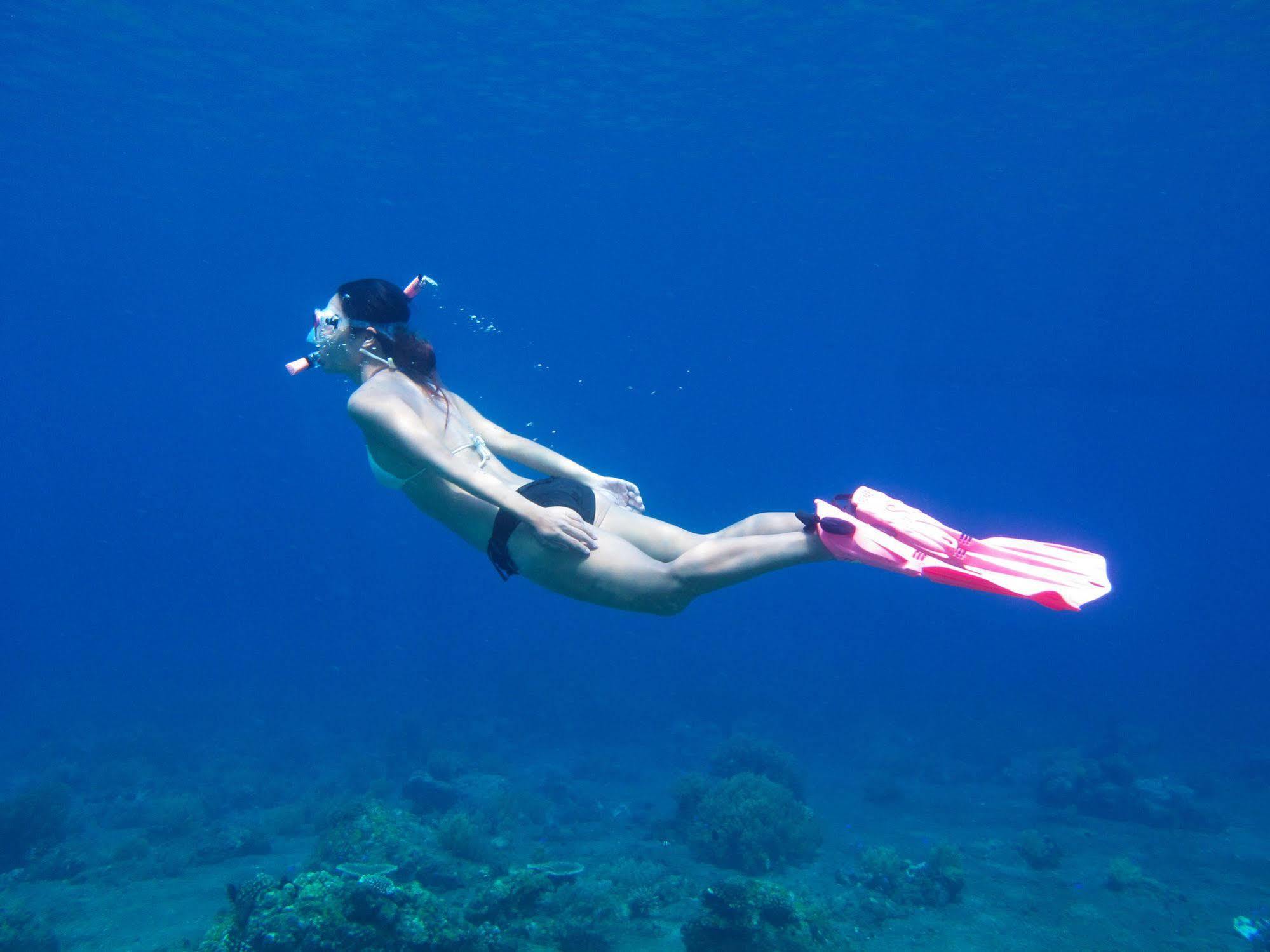 Acqua Dive Bed & Breakfast Zamboanguita  Exterior foto